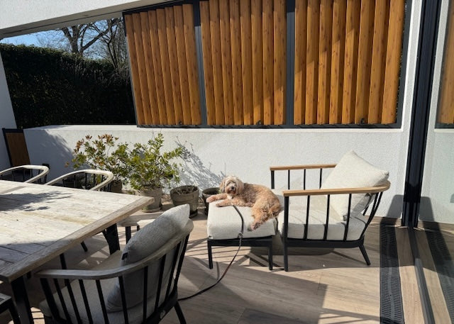 Apple Bee Condor Lounge-Gartenstuhl