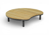 Apple_Bee_MoonIsland_Coffeetable_Bronze