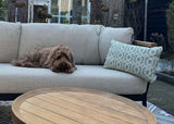Apple Bee Condor Lounge-Set 5-teilig Nr. 8 Premium