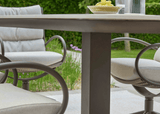 Apple Bee Camp Bay dining stoel in Bronze, detail